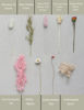Picture of DIY Natural Dried Flower Set, Bulk Dried Flowers, Dried Flowers with Stems, Handmade Dried Flowers Ideas, DIY Flower Set, Door Hanging Wreath, Table Centerpiece Mini Dried Flowers.(Pink)