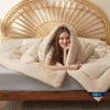Picture of Bedsure Comforter Duvet Insert - Quilted Comforters Queen Size, All Season Duvet, Down Alternative Bedding Comforter with Corner Tabs(Beige,Queen 88"x88")