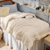 Picture of Bedsure Comforter Duvet Insert - Quilted Comforters Twin XL Size, All Season Duvet, Down Alternative Bedding Comforter with Corner Tabs(Beige,Twin XL 92"x68")
