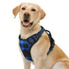 Picture of rabbitgoo Dog Harness No Pull with 2 Leash Clips, Adjustable Soft Padded, Reflective Oxford No Choke Pet Vest with Easy Control Handle for Large Dogs, Blue Plaid, L