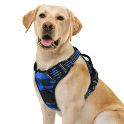 Picture of rabbitgoo Dog Harness No Pull with 2 Leash Clips, Adjustable Soft Padded, Reflective Oxford No Choke Pet Vest with Easy Control Handle for Large Dogs, Blue Plaid, L