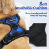 Picture of rabbitgoo Dog Harness No Pull with 2 Leash Clips, Adjustable Soft Padded, Reflective Oxford No Choke Pet Vest with Easy Control Handle for Large Dogs, Blue Plaid, L