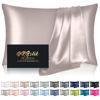 Picture of Mulberry Silk Pillow Cases Standard Size, Silk Pillowcase for Hair and Skin, Both Sides Natural Silk Satin Pillowcase for Sleeping Women with Zipper, Gifts for Women Men, Taupe