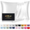 Picture of Silk Pillowcase for Hair and Skin, Mulberry Silk Pillow Cases Queen Size, Anti Acne Cooling Beauty Sleep Both Sides Natural Silk Satin Pillowcases with Hidden Zipper, Gifts for Women Men, White