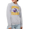 Picture of Junk Food Clothing x NFL - Minnesota Vikings - Team Helmet - Unisex Adult Pullover Fleece Hoodie for Men and Women - Size X-Large, Grey