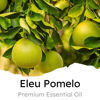 Picture of Air Jungles Eleu Pomelo Scent Car Air Freshener Clip, 6 Car Freshener Vent Clips, 4ml Each, Long Lasting Air Freshener for Car, Up to 180 Days Car Refresher Odor Eliminator