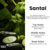 Picture of HoogaLife Car Air Freshener Diffuser - Revitalize Your Drive with Hanging Air Freshener Diffuser Aromatic Bliss On The Go(Santal)