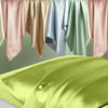 Picture of Silk Pillowcase 2 Pack, Mulberry Silk Pillow Cases Queen Size Set of 2, Anti Acne Silk Pillowcase for Hair and Skin, Natural Silk Satin Pillowcases for Sleeping Women 2 Pack with Zipper, Olive Green