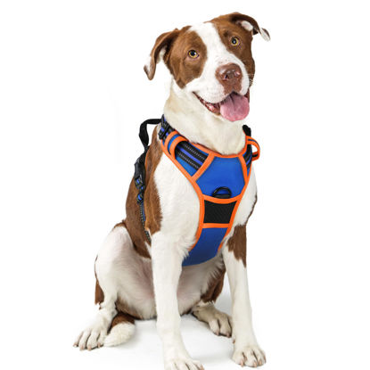 Picture of rabbitgoo Dog Harness No Pull with 2 Leash Clips, Adjustable Soft Padded, Reflective Oxford No Choke Pet Vest with Easy Control Handle for Large Dogs, Blue & Orange, L
