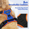Picture of rabbitgoo Dog Harness No Pull with 2 Leash Clips, Adjustable Soft Padded, Reflective Oxford No Choke Pet Vest with Easy Control Handle for Large Dogs, Blue & Orange, L