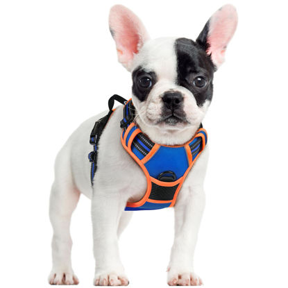 Picture of rabbitgoo Dog Harness, No-Pull Pet Harness with 2 Leash Clips, Adjustable Soft Padded Dog Vest, Reflective No-Choke Pet Oxford Vest with Easy Control Handle for Large Dogs, Blue & Orange, S