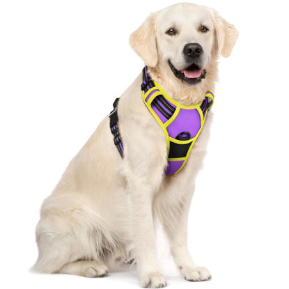 Picture of rabbitgoo Dog Harness, No-Pull Pet Harness with 2 Leash Clips, Adjustable Soft Padded Dog Vest, Reflective No-Choke Pet Oxford Vest with Easy Control Handle for Large Dogs, Purple & Yellow, XL
