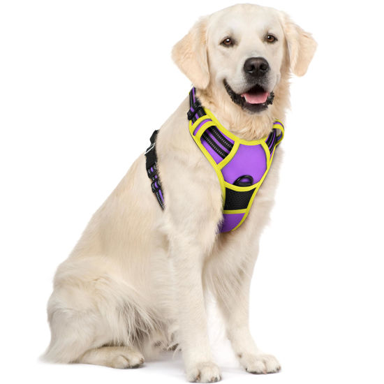 Picture of rabbitgoo Dog Harness, No-Pull Pet Harness with 2 Leash Clips, Adjustable Soft Padded Dog Vest, Reflective No-Choke Pet Oxford Vest with Easy Control Handle for Large Dogs, Purple & Yellow, XL
