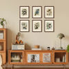 Picture of upsimples 11x14 Picture Frame Set of 5, Display Pictures 8x10 with Mat or 11x14 Without Mat, Wall Gallery Photo Frames, Brown