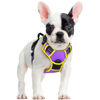 Picture of rabbitgoo Dog Harness, No-Pull Pet Harness with 2 Leash Clips, Adjustable Soft Padded Dog Vest, Reflective No-Choke Pet Oxford Vest with Easy Control Handle for Large Dogs, Purple & Yellow, S