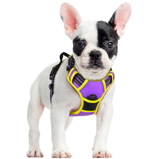 Picture of rabbitgoo Dog Harness, No-Pull Pet Harness with 2 Leash Clips, Adjustable Soft Padded Dog Vest, Reflective No-Choke Pet Oxford Vest with Easy Control Handle for Large Dogs, Purple & Yellow, S