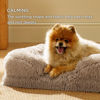 Picture of Bedsure Small Orthopedic Dog Bed - Washable Calming Dog Sofa Beds for Small Dogs, Supportive Foam Pet Couch Bed with Removable Washable Cover, Waterproof Lining and Nonskid Bottom Couch, Taupe