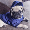 Picture of Jecikelon Winter Dog Hoodie Sweatshirts with Pockets Warm Dog Clothes for Small Dogs Chihuahua Coat Clothing Puppy Cat Custume (Small, Navy)