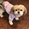 Picture of Jecikelon Winter Dog Hoodie Sweatshirts with Pockets Warm Dog Clothes for Small Dogs Chihuahua Coat Clothing Puppy Cat Custume (Medium, Purple)