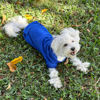 Picture of Jecikelon Winter Dog Hoodie Sweatshirts with Pockets Warm Dog Clothes for Small Dogs Chihuahua Coat Clothing Puppy Cat Custume (Small, Dark Blue)