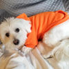 Picture of Jecikelon Winter Dog Hoodie Sweatshirts with Pockets Warm Dog Clothes for Small Dogs Chihuahua Coat Clothing Puppy Cat Custume (Large, Orange)