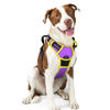 Picture of rabbitgoo Dog Harness, No-Pull Pet Harness with 2 Leash Clips, Adjustable Soft Padded Dog Vest, Reflective No-Choke Pet Oxford Vest with Easy Control Handle for Large Dogs, Purple & Yellow, L