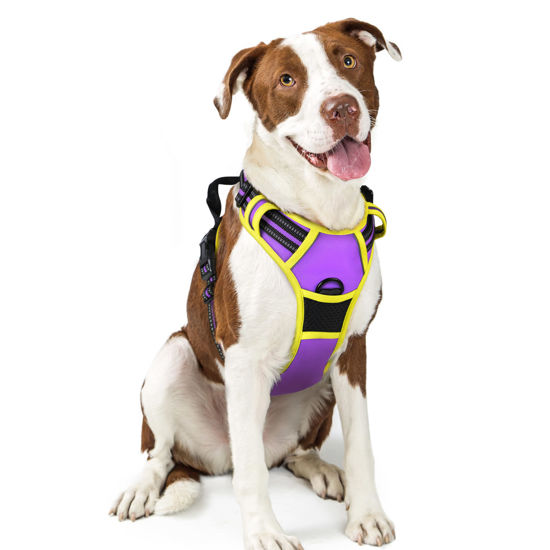 Picture of rabbitgoo Dog Harness, No-Pull Pet Harness with 2 Leash Clips, Adjustable Soft Padded Dog Vest, Reflective No-Choke Pet Oxford Vest with Easy Control Handle for Large Dogs, Purple & Yellow, L