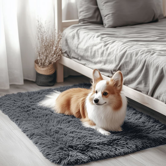 Picture of OLANLY 2x3 Machine Washable Small Bedside Rug, Soft Fluffy Shaggy Entryway Throw Rugs for Bedroom, Living Room, Indoor Floor Carpet for Kids Girls and Boys, Nursery Rooms, Home Decor Aesthetic, Grey