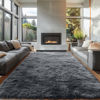 Picture of OLANLY 6x9 Machine Washable Large Area Rugs for Living Room, Bedroom, Soft Fluffy Shaggy Bedside Rug, Indoor Floor Carpet for Kids Girls and Boys, Dorms, Nursery, Home Decor Aesthetic, Grey