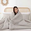 Picture of ROSGONIA Queen Comforter Set Linen Grey, 3pcs Queen Size Comforter(1 Boho Gray Comforter & 2 Pillowcases) All Season Lightweight Bedding Blanket Quilt