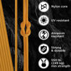 Picture of TECEUM Paracord Type III 550 Honey Gold - 100 ft - 4mm - Tactical Rope MIL-SPEC - Outdoor para Cord - Camping Hiking Fishing Gear - EDC Parachute Cord -Strong Survival Rope 089 N