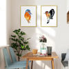 Picture of upsimples 12x16 Picture Frame Gold 3 Pack, Scratch-Proof Poster Frames 12 x 16 for Photo Gallery - Slide-In Strips, Horizontal or Vertical Wall Mounting