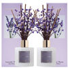 Picture of Cocorrína Premium Reed Diffuser Set with Preserved Baby's Breath & Cotton Stick Lavender Thyme 2 Packs, 6.7oz Scent Fragrance Oil Diffuser for Bedroom Bathroom Home Décor