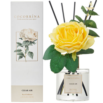 Picture of Cocorrina Reed Diffuser Set, Flower Reed Diffuser Clear Air 6.7 oz, Scented Diffuser with Sticks Home Fragrance Essential Oil for Bathroom Shelf Decor, Living Room, Large Room, 1pack