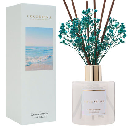 Picture of COCORRÍNA Reed Diffuser - Ocean Breeze Scented Diffuser with 8 Sticks Home Fragrance Reed Diffuser for Bathroom Shelf Decor