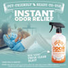 Picture of ANGRY ORANGE Pet Odor Eliminator for Cat Urine and Smells - Fresh Scent - 24 oz
