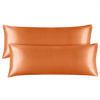 Picture of BEDELITE Body Pillow Cover Satin Pillowcase for Hair and Skin, Super Soft and Cooling Body Pillow Pillowcase 2 Pack, Breathable Silky Full Long Pillow Case Cover(20"x54" Body Size, Burnt Orange)