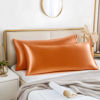 Picture of BEDELITE Body Pillow Cover Satin Pillowcase for Hair and Skin, Super Soft and Cooling Body Pillow Pillowcase 2 Pack, Breathable Silky Full Long Pillow Case Cover(20"x54" Body Size, Burnt Orange)