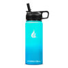 Picture of HYDRO CELL Stainless Steel Insulated Water Bottle with Straw - For Cold & Hot Drinks - Metal Vacuum Flask with Screw Cap and Modern Leakproof Sport Thermos for Kids & Adults (Teal/Blue 18oz)