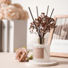 Picture of Cocorrína Reed Diffuser Sets- Satin Rose Scented Diffuser with Sticks Home Fragrance Reed Diffuser for Bathroom Shelf Decor