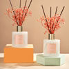 Picture of Cocorrína Premium Reed Diffuser Set with Preserved Baby's Breath & Cotton Stick Sandalwood Rose 2 Packs, 6.7oz Scent Fragrance Oil Diffuser for Bedroom Bathroom Home Décor