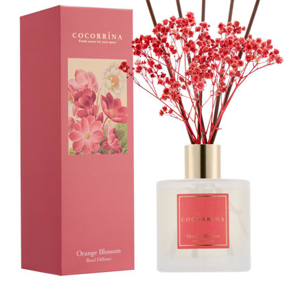 Picture of COCORRÍNA Reed Diffuser - Orange Blossom 6.76 Fl.oz Reed Diffuser Sets with Preserved Flowers, Diffuser with 8 Sticks for Bathroom Shelf Decor