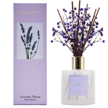 Picture of Cocorrína Premium Reed Diffuser Set with Preserved Baby's Breath & Cotton Stick Lavender Thyme | 6.7oz Scent Fragrance Lavender Oil Diffuser for Bedroom Bathroom Home Décor