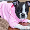 Picture of Jecikelon Winter Dog Hoodie Sweatshirts with Pockets Warm Dog Clothes for Small Dogs Chihuahua Coat Clothing Puppy Cat Custume (Medium, Pink)