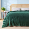Picture of NEWCOSPLAY Super Soft King Blanket Forest Green Premium Silky Flannel Fleece Leaves Pattern Lightweight Bed Blanket All Season Use (Forest Green, King(90"x110"))