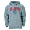 Picture of Barnesmith University of Illinois UIUC Illini Hooded Sweatshirt, Heritage, Charcoal Grey, Small