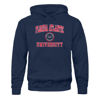 Picture of Barnesmith Florida Atlantic University FAU Owls Hooded Sweatshirt, Heritage, Navy, Small