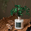 Picture of Cocorrína Reed Diffuser Sets- Eucalyptus & Moss Scented Diffuser with Sticks Home Fragrance Reed Diffuser for Bathroom Shelf Decor