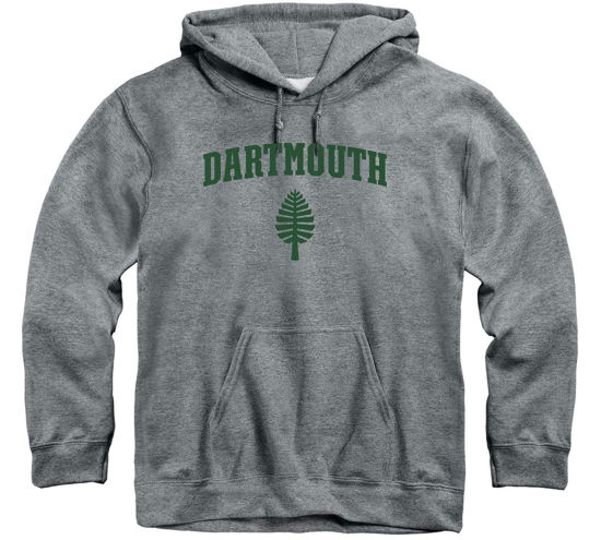Picture of Barnesmith Dartmouth College Big Green Hooded Sweatshirt, Heritage, Charcoal Grey, XX-Large