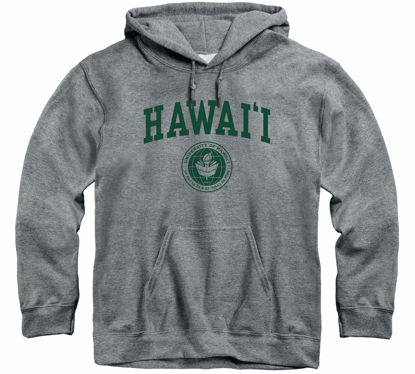 Picture of Barnesmith University of Hawaii UH Warriors Hooded Sweatshirt, Heritage, Charcoal Grey, X-Large